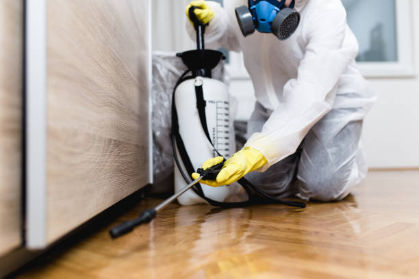 Best Best Pest Control Companies  in Hoopeston, IL