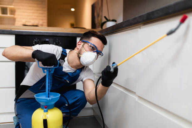 Best Wasp Removal Services  in Hoopeston, IL