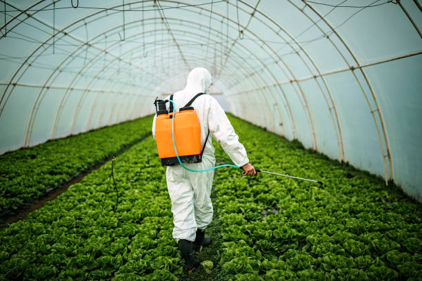 Pest Prevention Services in Hoopeston, IL