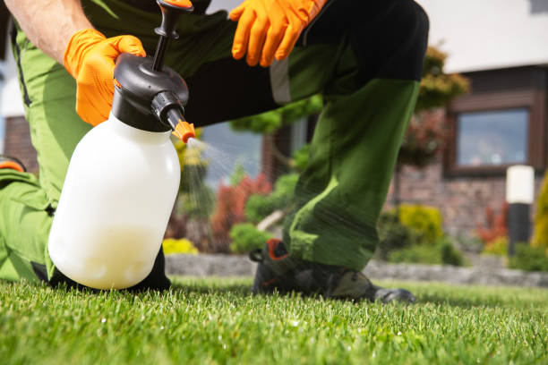 Best Wildlife Control Services  in Hoopeston, IL