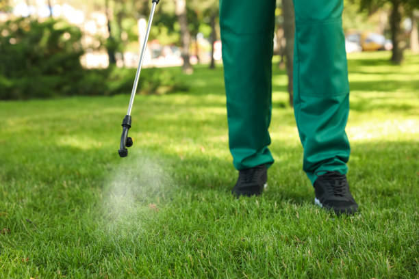 Best Spider Control Near Me  in Hoopeston, IL