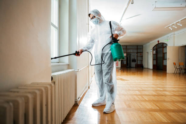 Best Termite Control Services  in Hoopeston, IL